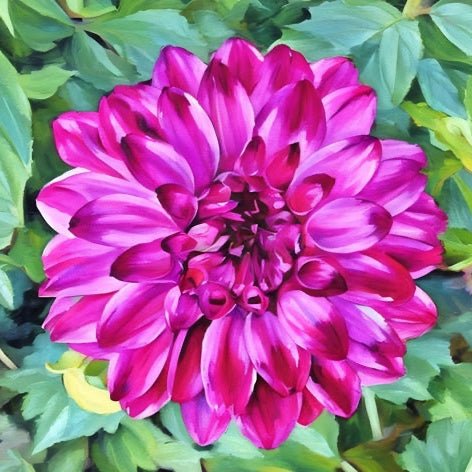 Bloomquist Vivian R